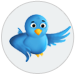 follow us 